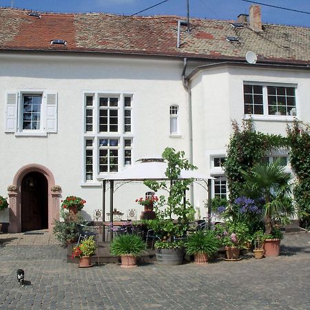 Bio-Weingut, Gaestehaus Und Kraeuterhof Flomborn Exterior photo